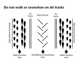 set of three ski or snowshoe tracks