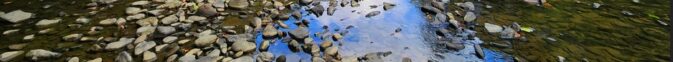 many rocks in stream bed