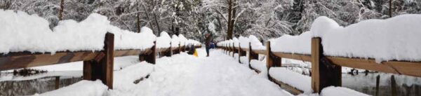 snow covered pedestrian bridge with person standing on it