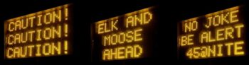 signs say caution, elk and moose ahead, no joke be alert, 45 at night