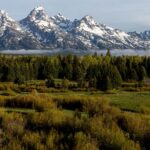 mountain range with forest and ponds in foreground