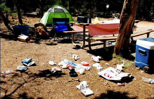 trash around on ground at campsite