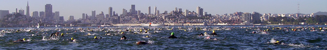 swimmers in SF bay