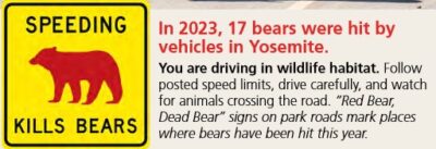 sign says speeding kills bears