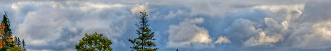 tree tops and clouds