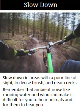photo of cyclist and the words slow down