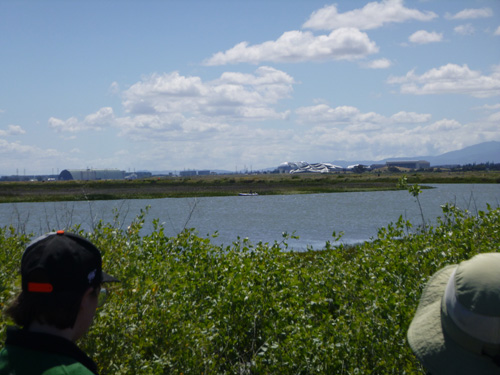 two people looking out at a raft stuck on a shoreline