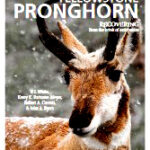 cover of book showing a pronghorn