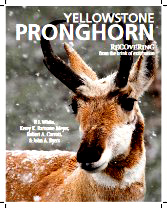 cover of book showing a pronghorn
