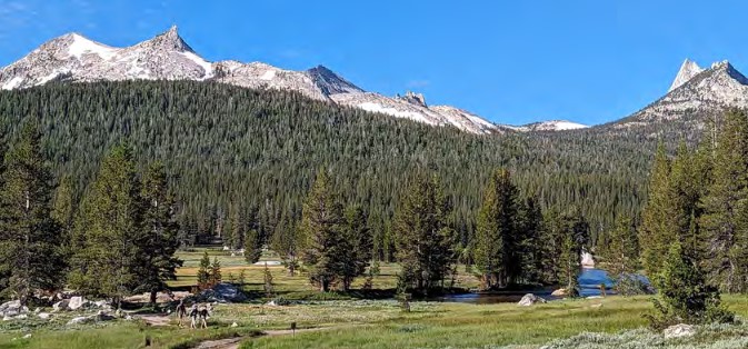 meadow with mountains behind