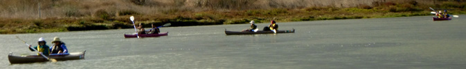 four kayaks on the water