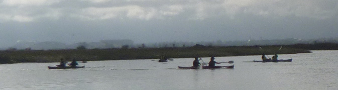 multiple kayaks racing