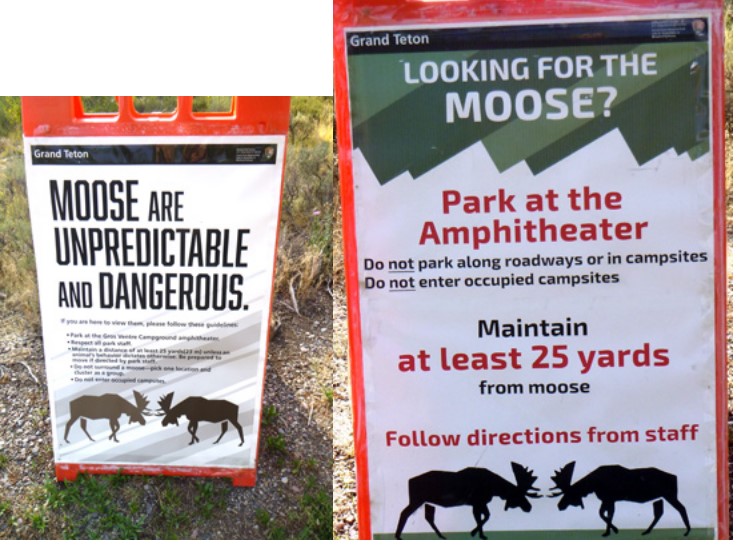 two signs about moose