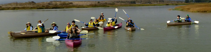 group of kayakers