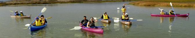 group of kayakers