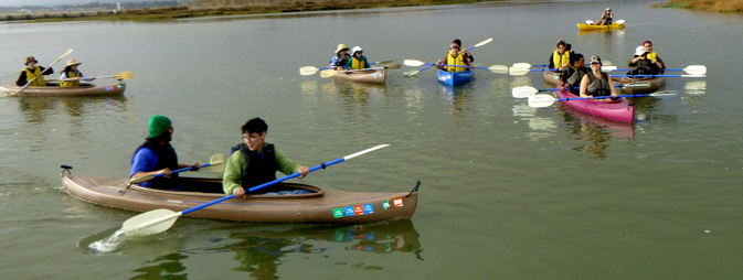 group of kayakers