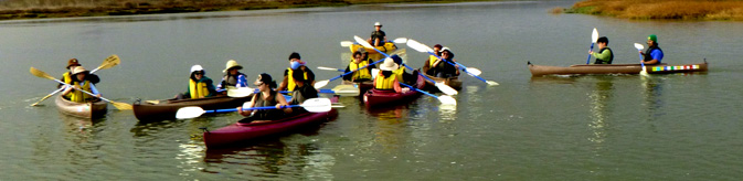 group of kayakers