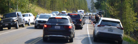 cars stopped on roadway, people walking at side of road