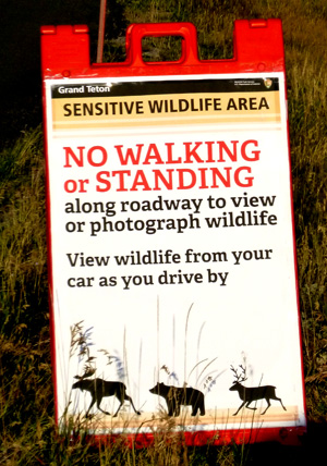 sign says no walking or standing along roadway to view or photograph wildlife