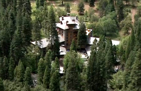 hotel surrounded by forest