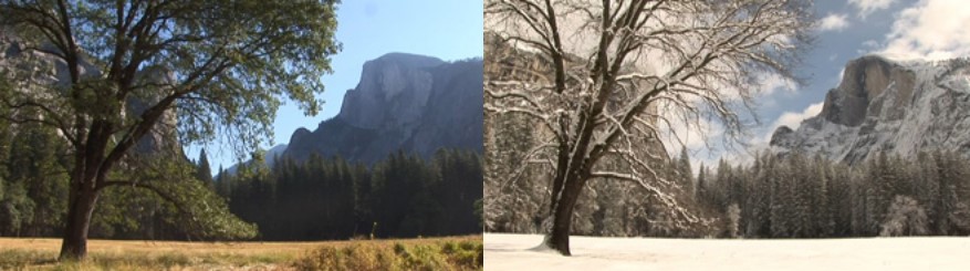 side by side photos of meadow in summer and snow covered in winter with Half Dome in the distance