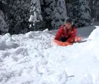 person on sled