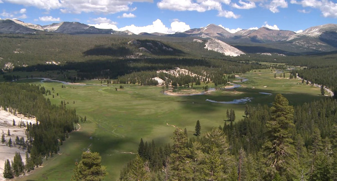 large meadow surrounded by forest and domes