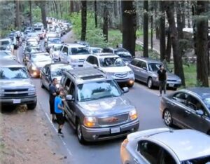 lines of stopped cars on road and sides of road