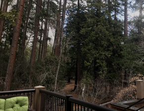 end of balcony looking out at forest