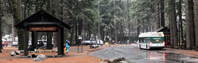 road with bus stops on either side