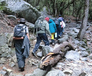 hikers going uphill on trail, some with rain gear hanging from their packs