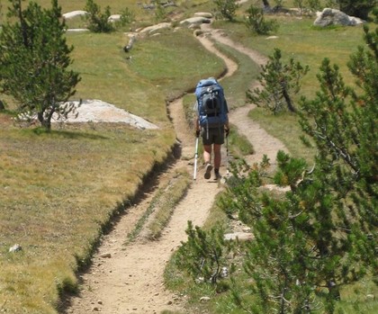 hiker on one of many trails worn out next to each other