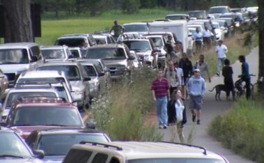 rows of cars stopped in road