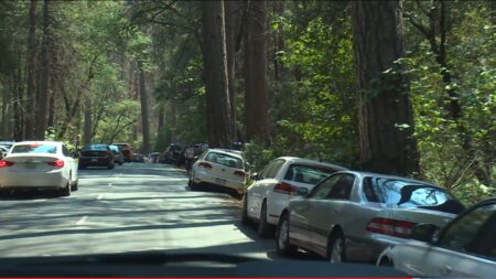 car parked along road in the roadway
