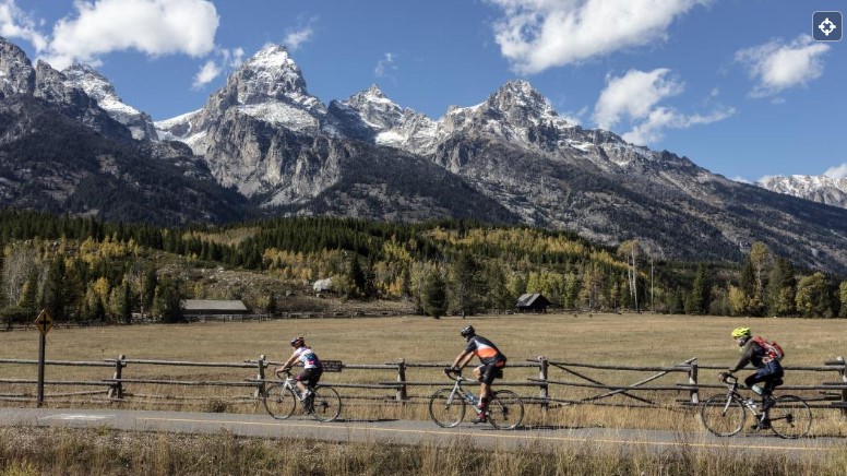 people riding bikes on pathway