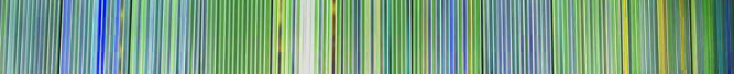 stripes of colors