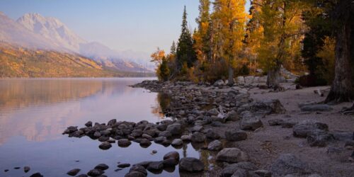 shore on lake