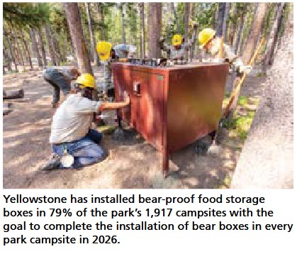 workers installing a food storage box in a campsite