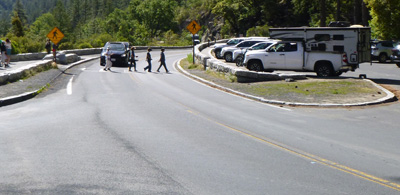 people in crosswalk