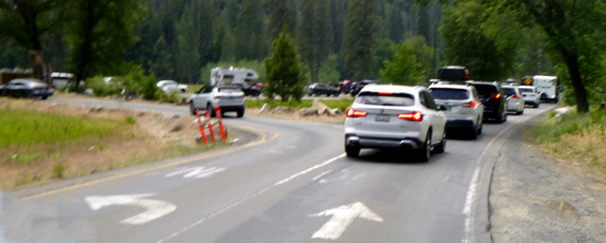 cars on road