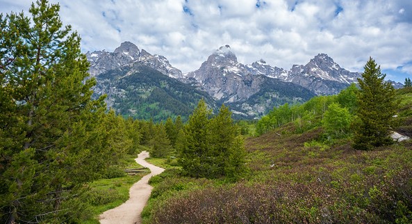 trail with mountains beyond