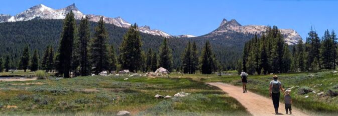 pathway across meadow with mountains behind