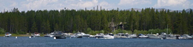 marina with boats and tops of cell phone towers above forest