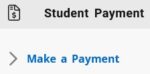 student payment icon