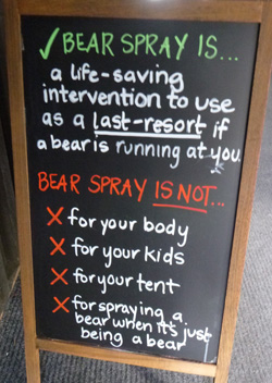 bear spray is a life saving intervention to use as a last resort if a bear is running at you