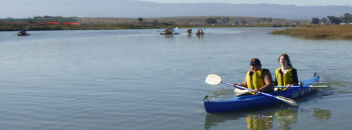 four kayaks on the water
