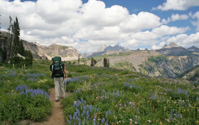 backpacker on trail with wildflowers