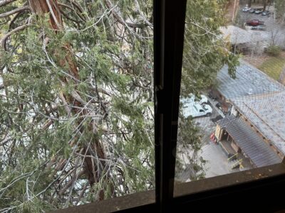 looking out a window