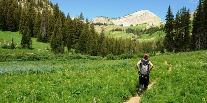 Hiker on the Granite Canyon Trail through a meadow