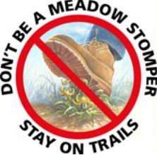 drawing says don't be a meadow stomper, stay on trails